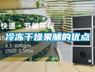 行業免费污视频看片APP冷凍幹燥果脯的優點