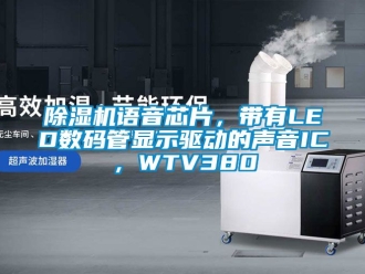 行業免费污视频看片APP91看片网站视频機語音芯片，帶有LED數碼管顯示驅動的聲音IC，WTV380