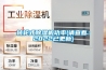 轉輪式91看片网站视频機功率(請查看：2022已更新)