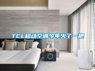 常見問題TCL移動空調今年火了一把
