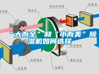常見問題“大而全”和“小而美”91看片网站视频機如何選擇