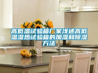 常見問題高低溫試驗箱廠家淺述高低溫濕熱試驗箱的加濕和91看片网站视频方法