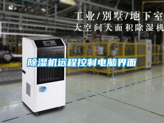 行業免费污视频看片APP91看片网站视频機遠程控製電腦界麵