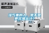 濕氣重的人，是不是更容易出汗？