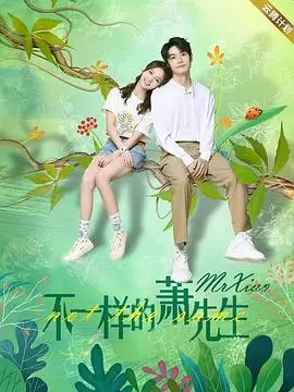 不一样的萧先生 海报