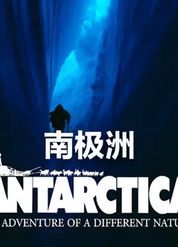 《南极洲》：冷峻画面下的孤寂与人性，一部关于生存极限的史诗